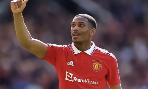 他们不仅在 他们不仅在