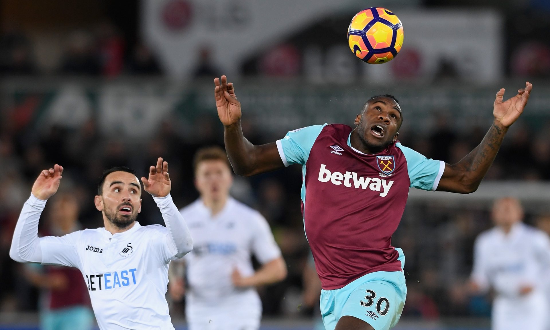 季的升班马 季的升班马